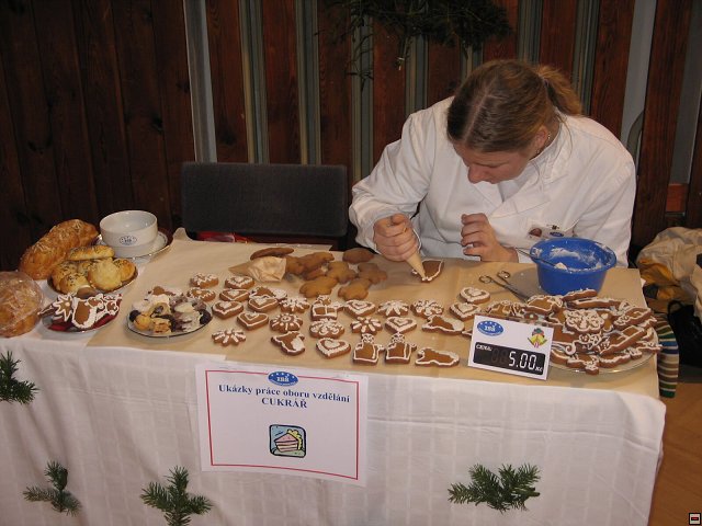 img00045.jpg
