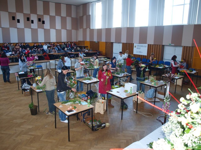 obrázek